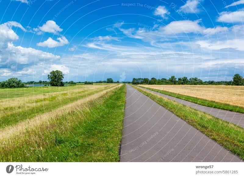 Heading northwest on the Elbe cycle path Elbe Cycle Route Nature Exterior shot River Colour photo Deserted Elbe meadows Landscape Sky Copy Space top Horizon