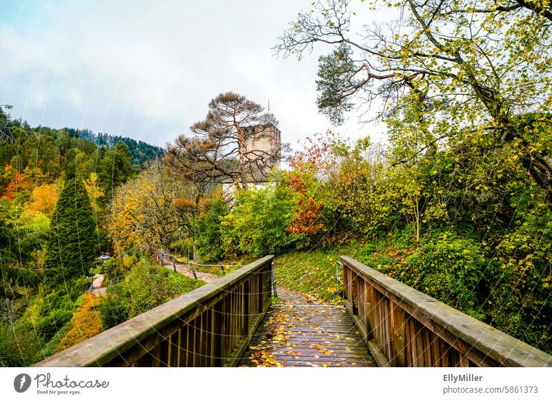 Hornberg Castle in the fall castle Ruin Autumn Bridge Footpath Landscape Old Architecture Nature Tourist Attraction Tourism Building Sightseeing