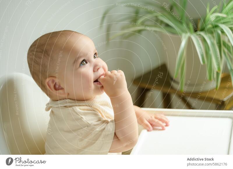 Baby boy sitting and smiling in a natural light setting baby looking up joyful light brown hair beige outfit plant nature indoor high chair happy infant toddler