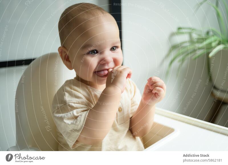 Cheerful baby boy smiling and looking away in highchair finger in mouth indoor houseplant cheerful joy happy toddler infant child cute joyous seated nursery