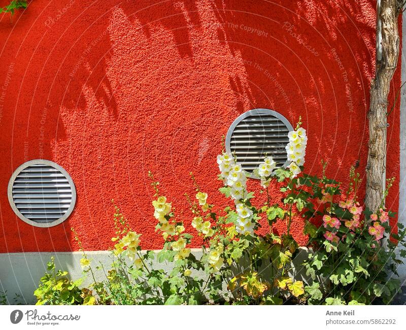 Orange house façade with round ventilation flaps, flowers and tree Colour photo Deserted Exterior shot Nature Plant Summer Facade Wall (building) Wall (barrier)