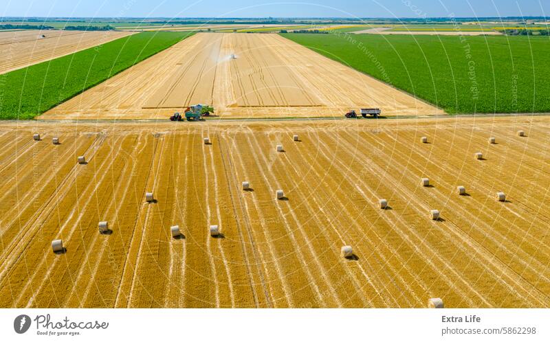 Aerial view over agricultural fields in harvest time, season, round bales of straw over harvested field Above Agriculture Bale Cereal Combine Country Crop Cut