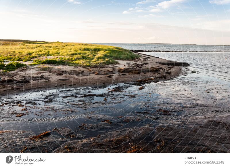 low tide Low tide Mud flats North Sea coast Vacation & Travel Nature Environment Ocean Relaxation Horizon ebb and flow Tide Slick Landscape Experiencing nature