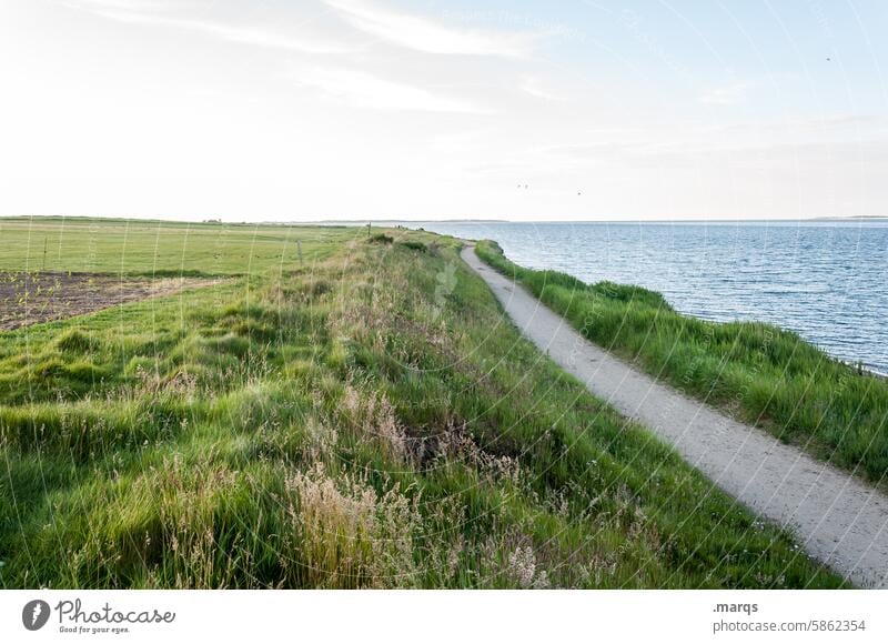 coastal line coastline Lanes & trails North Sea Summer Sky Beautiful weather Vacation & Travel Landscape Meadow Relaxation Freedom Calm Horizon