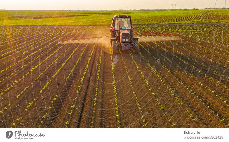 Aerial view on tractor as spraying field with sprayer, herbicide and pesticide Above Aerosol Agricultural Agriculture Arable Backlight Biochemical Biohazard