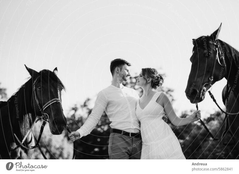 girl in a white sundress and a guy in a white shirt on a walk with brown horses nature forest village young outside the house freedom outside the city road