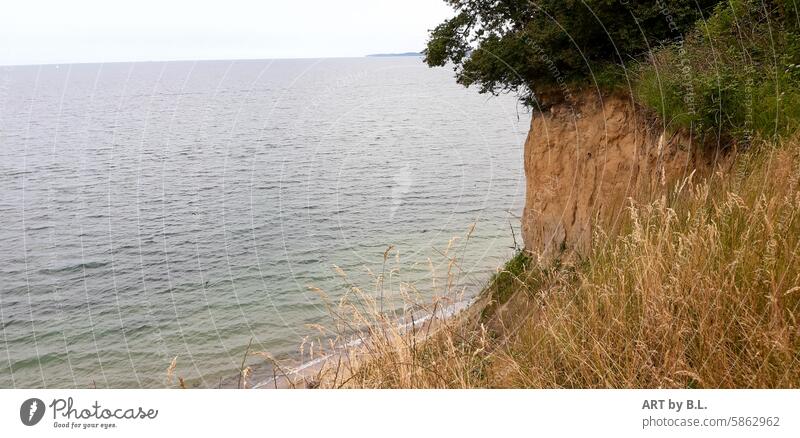 Baltic Sea cliffs Hermannshöhe Steep steep coast Water Sand plants outlook ostsee hermannshöhe