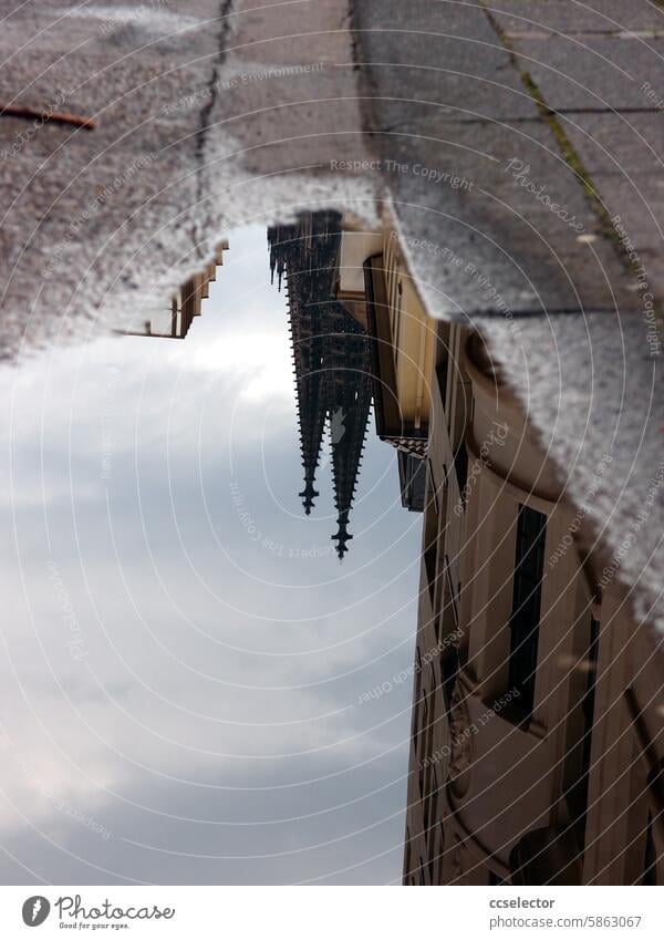 Cologne Cathedral reflected in a puddle in the gutter hell reflection Dome Landmark Tourist Attraction Colour photo Town Rhine Exterior shot Downtown Deserted