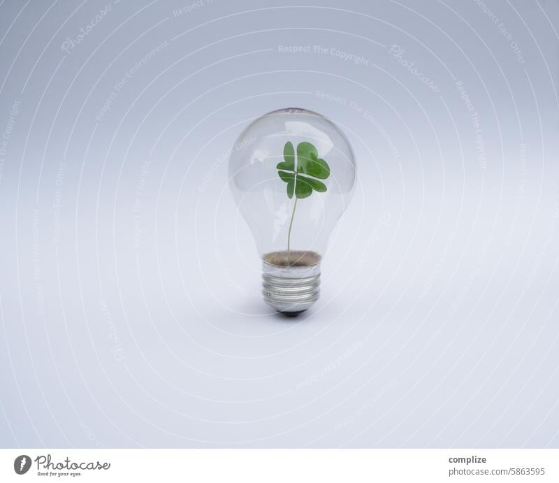 Four-leaf clover in an old light bulb | Good luck! Electric bulb vintage Plant Germinate sustainability Sustainability Renewable energy Energy stream Glow Happy