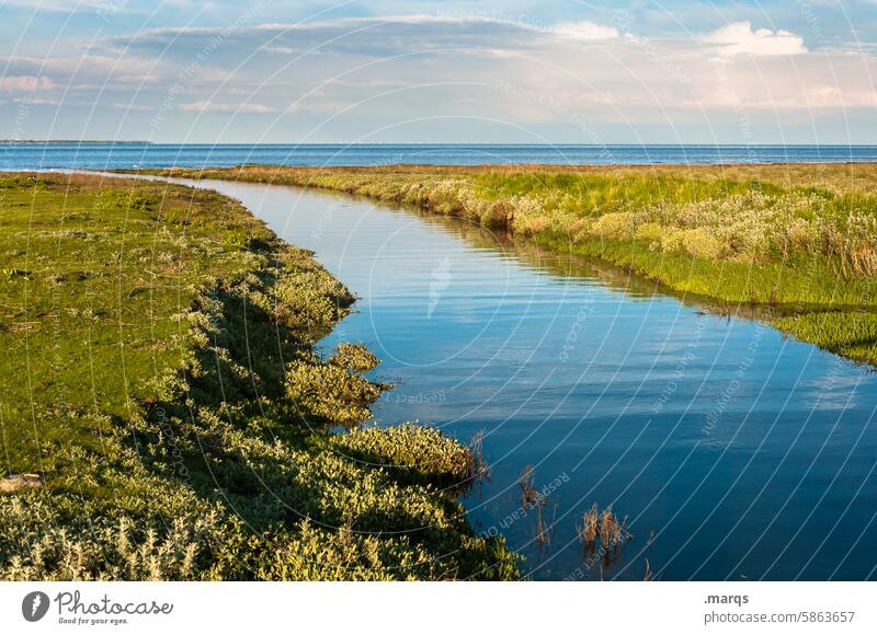 watercourse North Sea Landscape Clouds Relaxation coast Sky Nature Environment Vacation & Travel Meadow Tourism North Sea coast Beautiful weather Summer Calm