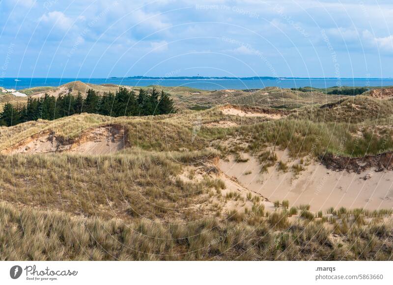 From Amrum to Föhr Marram grass duene Sky Nature Vacation & Travel Horizon Landscape Summer vacation Beautiful weather North Sea Clouds North Sea coast Ocean