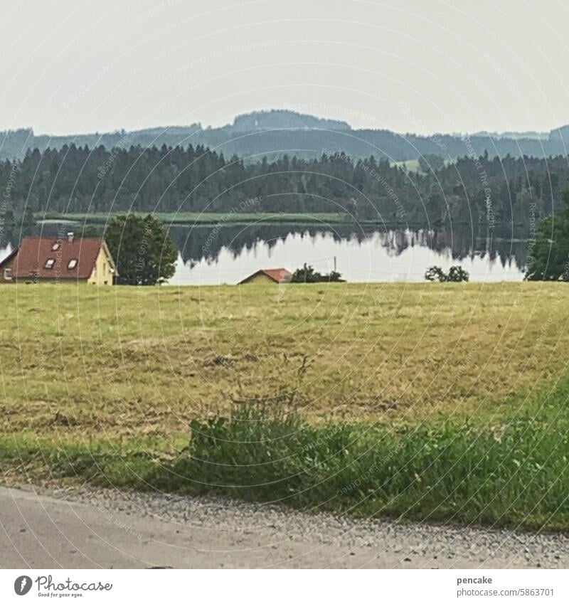 so still Landschaft Stille See Allgäu Erholung Natur Idylle ländlich Ruhe Landwirtschaft Ernte Heuernte Wiesen abgemäht Milchwirtschaft