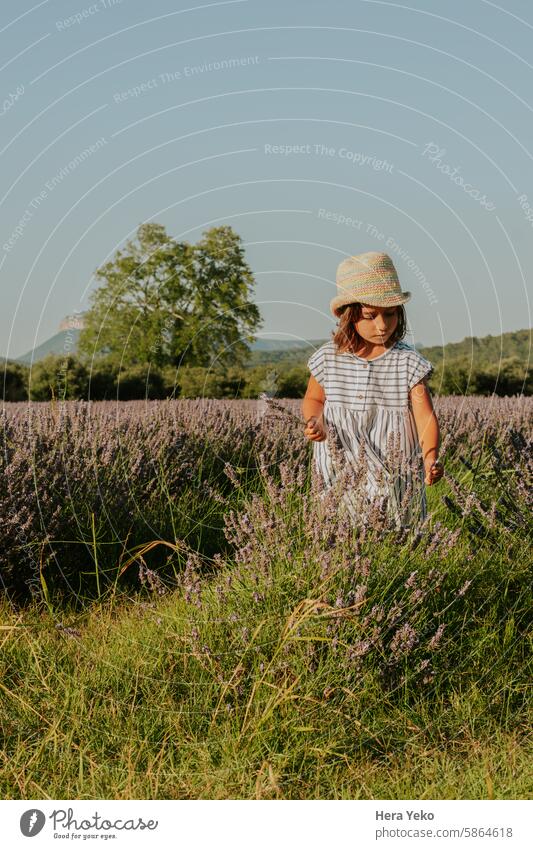 girl with straw hat among lavender fields sun rays Dress Striped relaxed childhood France travel Violet Nature Beautiful Lavender field Purple Landscape