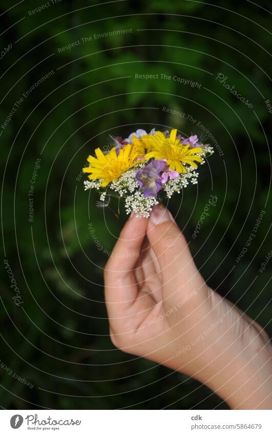 A wildflower mini bouquet for you! Hand of a teenager with a small, delicate bouquet of flowers wild flowers Nature naturally Spring Summer Meadow wild nature