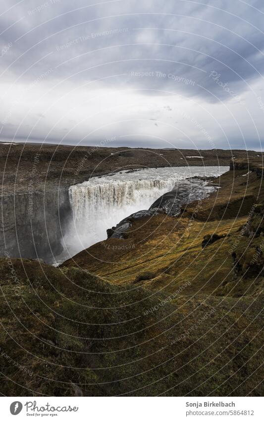 Untamed power dettifoss Nature Iceland Waterfall Landscape Environment Canyon Force Elements Rock Exterior shot Wild River naturally Wet Deserted Gigantic Flow