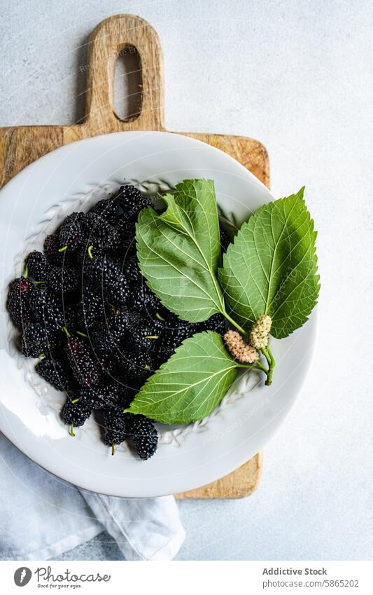 Fresh mulberries in a white bowl on wooden cutting board mulberry fruit leaf green black fresh juicy ripe texture natural food nutrition ceramic rustic