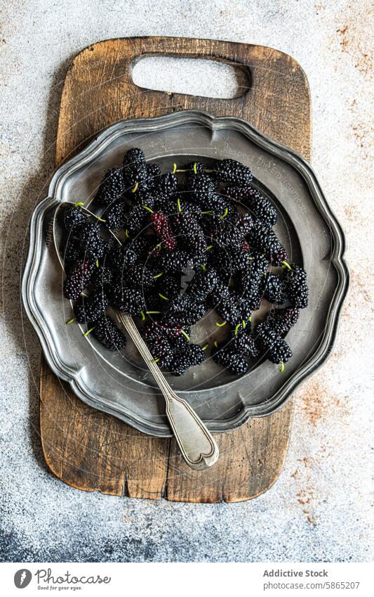 Fresh mulberries in a vintage metal tray on a rustic wooden board mulberry fruit fresh juicy textured silver spoon dusty backdrop silver tray textured backdrop