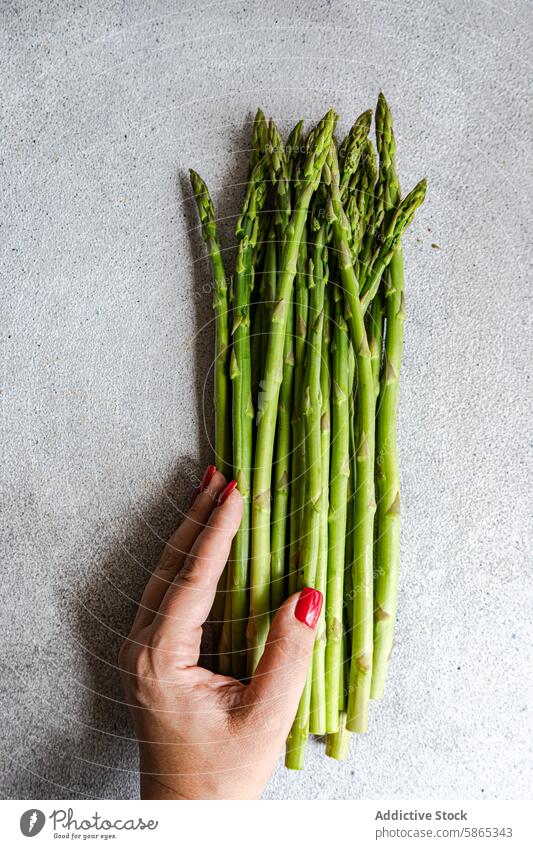 Fresh asparagus held in anonymous hand on a textured background green vegetable fresh raw healthy woman nutrition food stalk fiber vegan vegetarian diet cooking