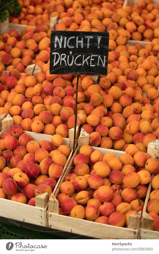 Market stall with fruit and prohibition sign Prohibition sign Apricots sales booth Markets Fruiterer forbidden Touch Orange apricots Signs and labeling Text