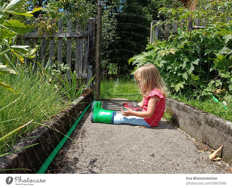 Blonde girl in a red T-shirt and green rubber boots sits in the vegetable garden with a bowl on her lap Raspberry raspberry Garden fence Fence Red Green