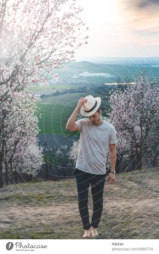 Explorer wearing a beige T-shirt and a hat walks through a bright almond orchard in the village of Hustopeče, Czech Republic. Springtime hustopece