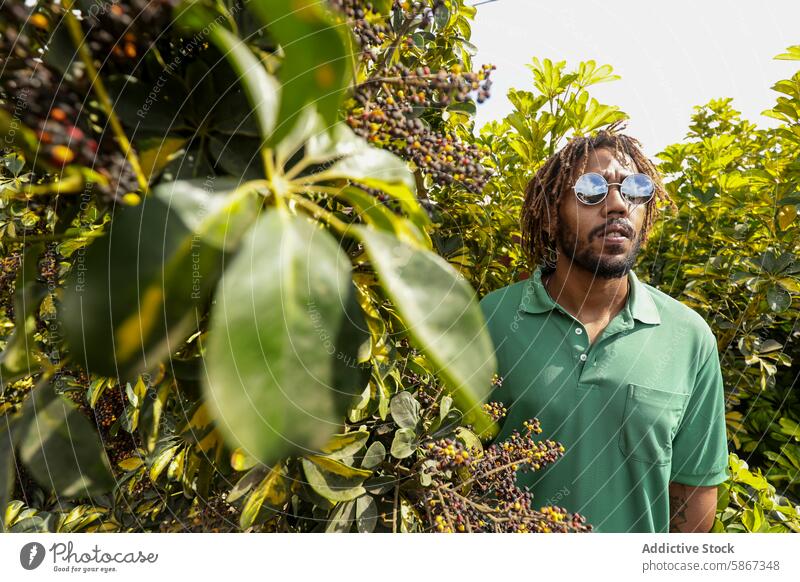 African American man in nature reflecting during summertime african american sunglasses dreadlocks greenery outdoors reflective contemplative gaze looking away