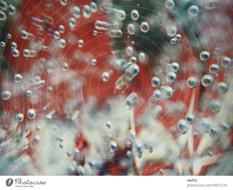 The world as seen through a bottle of bubbles Mineral water Air bubbles Many Diminutive Drinking water Bubbling Movement Thirst-quencher Beverage Cold drink