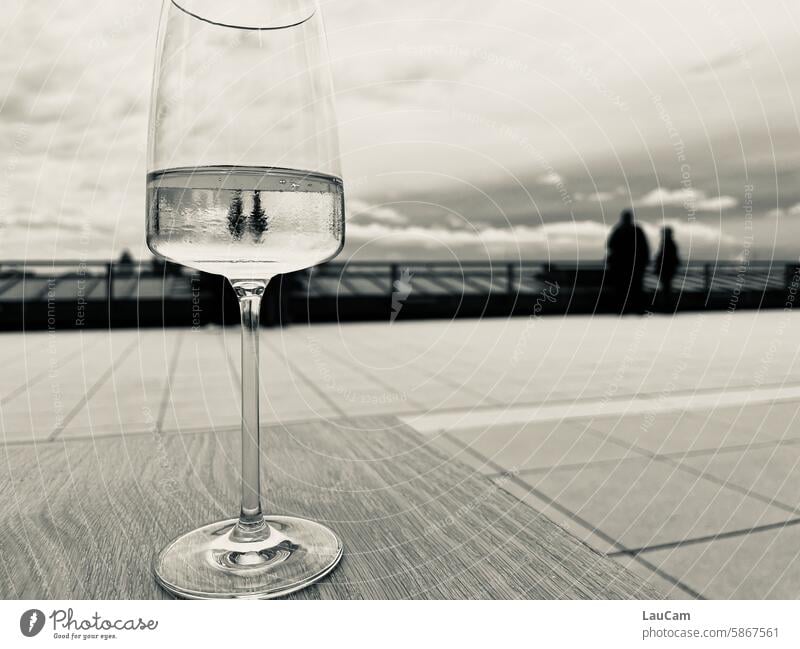 Two in one glass Glass Wine glass reflection Vine Sky Clouds Stand optical illusion two people two persons On the head upside down mirrored