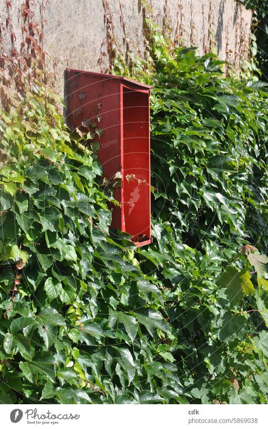 Open, red metal box on a wall overgrown with wild vines. Box Metal box Red Old small box Wall (building) house wall garage wall Facade Virginia Creeper Plant