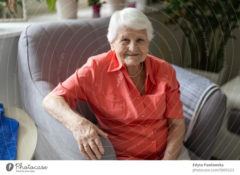 Portrait of happy senior woman sitting in armchair and looking at camera smiling enjoying positive contented people mature female elderly home house old aging