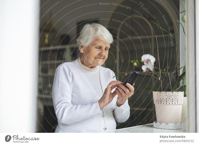 Elderly woman using mobile phone in the living room at home contented people senior mature female elderly house old aging domestic life grandmother pensioner