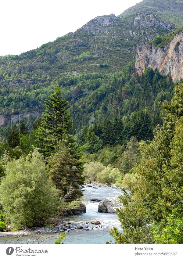 Landscape of the Aragonese Pyrenees. spectacular forest, mountains and river. Spain spain travel Forest Green Mountain River River bank rocks nature water