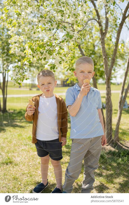 Two young boys eating ice cream in sunny park tree blossom spring casual looking at camera green grass white blossom cone snack outdoor child youth brother