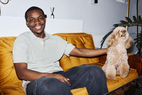 Smiling Black Man Sitting on Sofa with Dog Black man dog pet care Maltipoo hold puppy flash smile sit couch groom home Poodle look at camera sofa curly fur hair