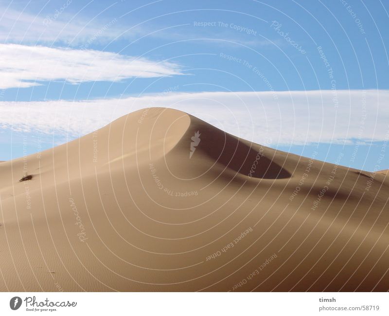 dune Morocco Sand Beach dune Sahara desert landscape
