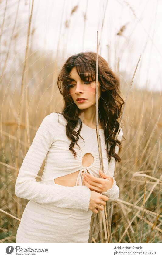 Woman standing in a field holding a dry reed woman serene natural curly hair brown hair textured dress white dress tall grass dry reeds tranquility peaceful