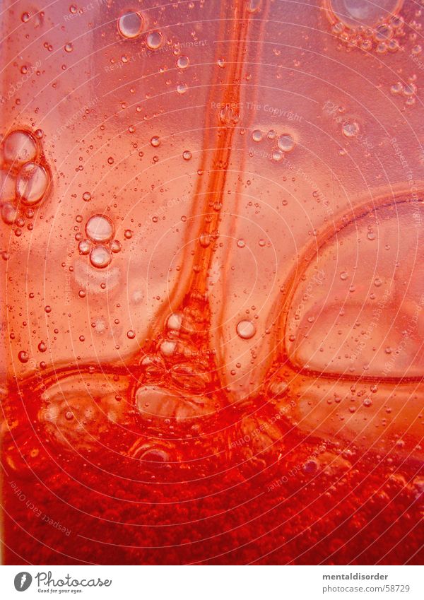 Picture Puzzle No.3 Abstract Round Circle Oval Contents Concentrate Foam Fluid Blood Bodily fluid Shower gel Red Air Transparent Clean Cleaning Gel Tenacious