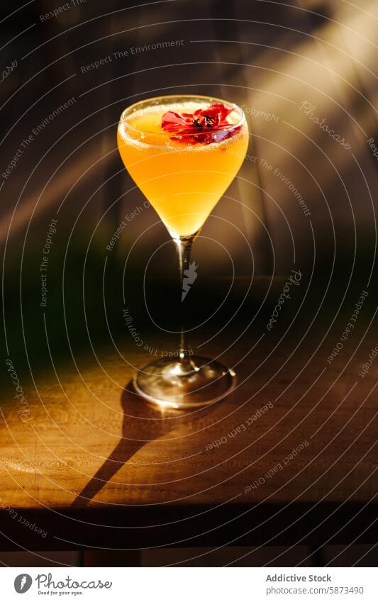 Elegant cocktail with floral garnish in golden light beverage drink alcohol bar mixology sophisticated elegant flower red shadow wood surface glass stemware