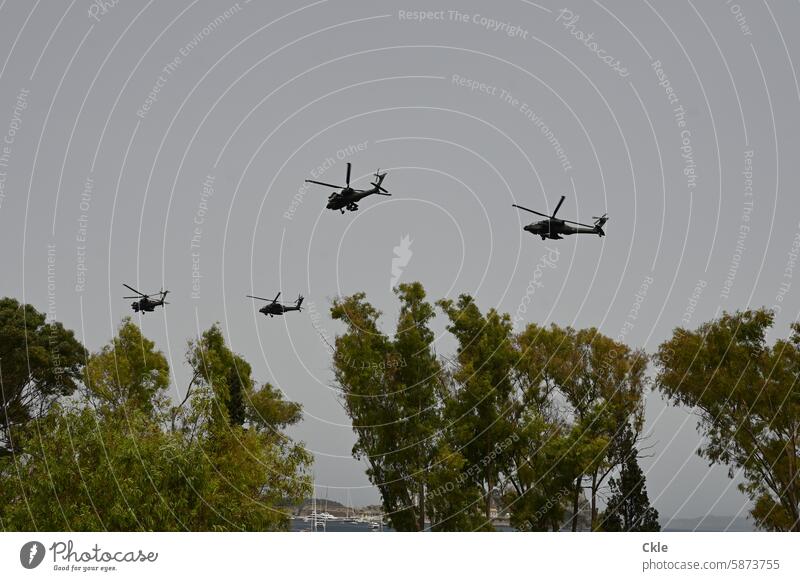 Helicopters and trees Sky flight Rotors aircraft noise military Deployment Parade Nature technique Aviation Flying Aircraft Technology Airplane Drone Overflight
