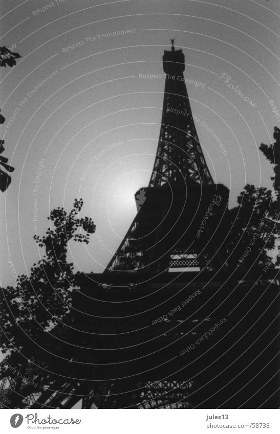 Eiffel Tower Paris France Bushes Tree Light Back-light Worm's-eye view Black & white photo Shadow Architecture