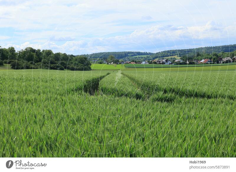 Tracks in a grain field in the Heckengäu lane Grain field Field trace Farmer Agriculture agriculturally Landscape panorama acre peasant Horizon Summer Summery