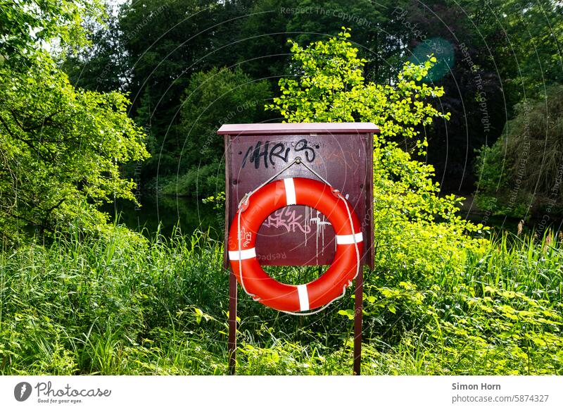 Lifebuoy on a densely overgrown bank in the sunlight Life belt Ring Rescue Drown Safety Help Swimming & Bathing Protection Vacation & Travel Water Escarpment