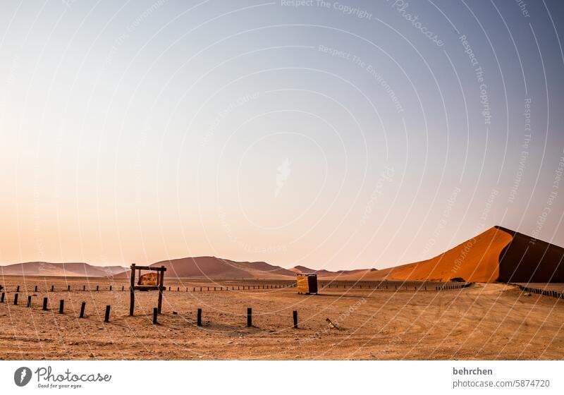 dune 40 Sky mark Name Clue Signs and labeling Sossusvlei Exterior shot Namibia Far-off places Africa Desert Sand Sesriem travel Wanderlust Colour photo