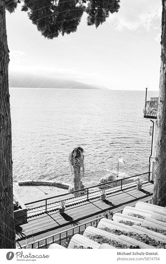 View from the shore over palm trees to Lake Garda Lago Italy Lombardy Water Harbour seascape port picturesque lake view pastel Black White monotonously