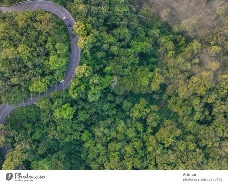 Aerial view of green forest and highway road with car and truck transport. Green trees and morning fog background for carbon neutrality and net zero emissions concept. Sustainable green environment.