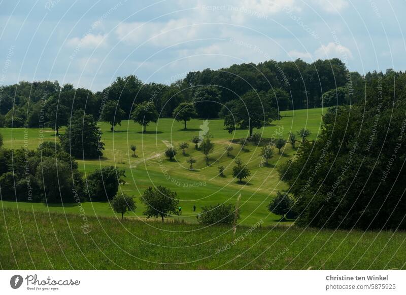 Two golfers in the green countryside Landscape Sports trees golfing meadows Nature Summer Environment Forest Hill Sky Clouds pretty idyllically Outdoors