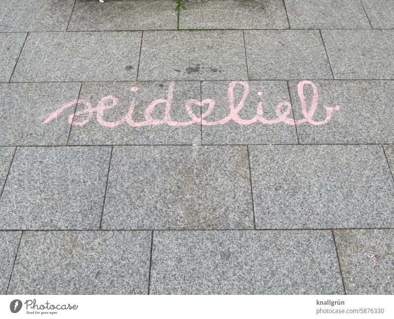 Seid❤️lieb Graffiti Love Text Heart Communication Emotions Infatuation Romance Characters Colour photo Typography off Street cursive Pink Gray Deserted Word