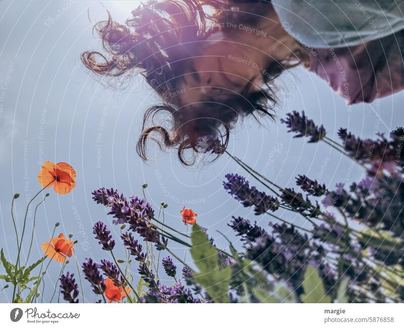 Seen from the frog's perspective: Lavender, poppy and curious woman Woman Face Poppy blossom Summer Nature Flower red poppy Exterior shot Dark-haired