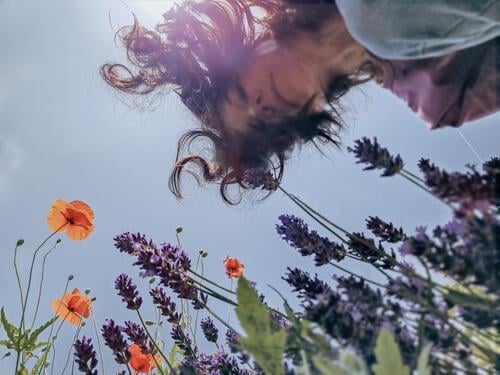 Seen from the frog's perspective: Lavender, poppy and curious woman Woman Face Poppy blossom Summer Nature Flower red poppy Exterior shot Dark-haired