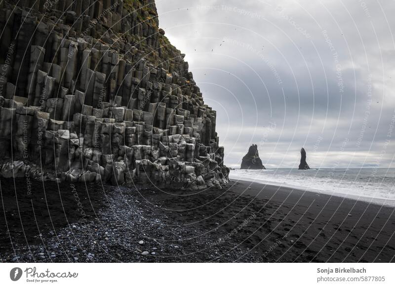 Reynisfjara beach on soth iceland reynisfjara Iceland Nature Icelandic Cold tranquillity Northern Europe iceland trip Loneliness Nordic Calm daylight blurriness